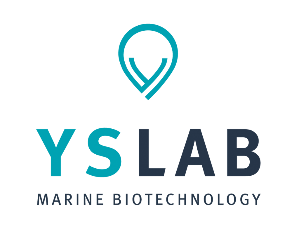 Logo client